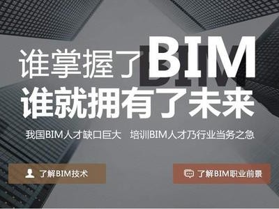 搬磚型bim工程師怎么樣搬磚型bim工程師