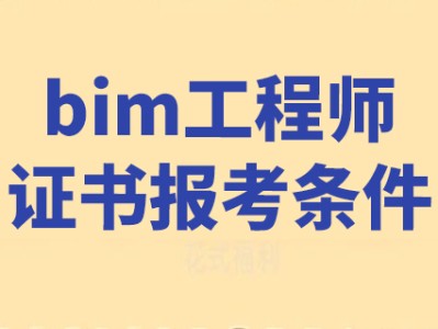 bim工程師在投標方面,bim工程師在投標方面怎么做