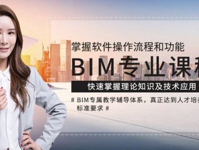 國際BIM工程師,bim工程師國家官網