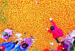 關于湖南二級建造師證書領取的信息