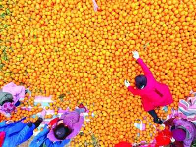 關于湖南二級建造師證書領取的信息