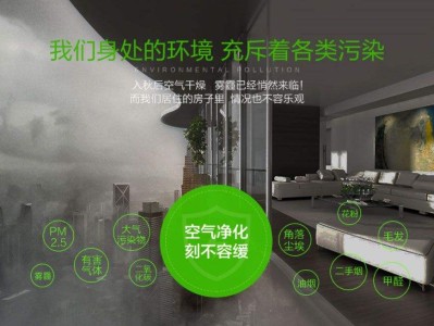 室內空氣污染現狀,室內空氣污染現狀及其成因分析論文