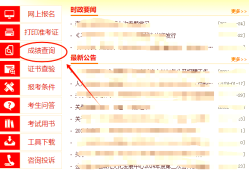 監(jiān)理工程師成績(jī)查詢手機(jī)怎么查詢,信息監(jiān)理工程師成績(jī)查詢