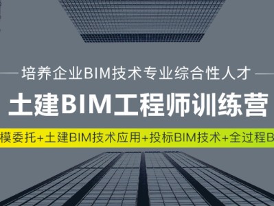 bim工程師需要會的軟件,bim專業工程師需要什么資歷