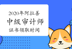 關(guān)于審計(jì)單位要不要造價工程師的信息