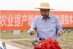 新疆造價工程師證書領取時間新疆造價工程師證書領取