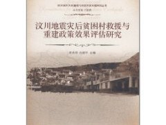 地震救援結構工程師安全評估報告地震救援結構工程師安全評估