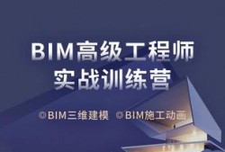 bim工程師專業(yè)技能培訓教材bim工程師高效直通班