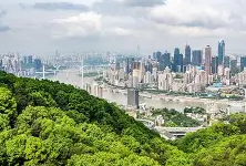 重慶注冊安全工程師準考證打印時間重慶2020注冊安全工程師考試證書領取時間