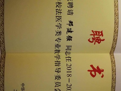 結(jié)構(gòu)工程師聘書怎么寫,結(jié)構(gòu)工程師年薪100萬