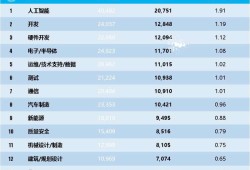 軟件工程師薪酬等級軟件工程師工資結(jié)構(gòu)