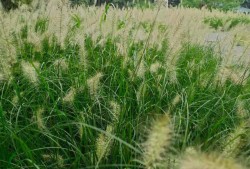 監(jiān)理工程師哪個(gè)老師講的好伍曉亮監(jiān)理工程師