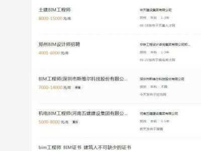 bim技術工程師待遇,bim設計師待遇