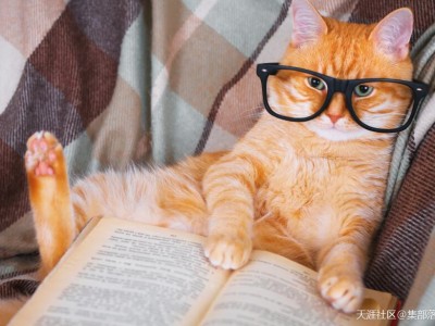 2018年廣東一建補考地點在哪兒？(轉載)