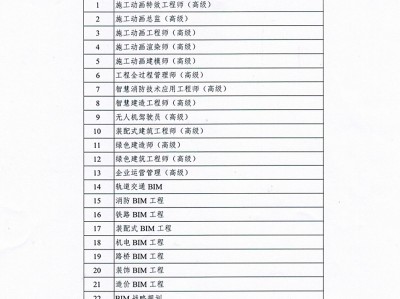 山東bim工程師報(bào)考條件,山東bim考試時間