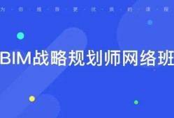 bim戰略工程師是干什么的,bim入庫騙局