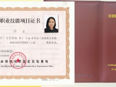 包含bim工程師哪個最重要的詞條