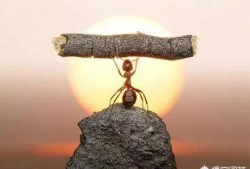 零基礎(chǔ)如何通過二建？