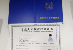 總監(jiān)理工程師注冊專業(yè)有哪些,總監(jiān)理工程師注冊