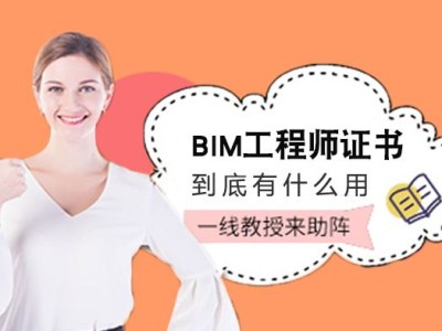 bim工程師有注冊bim工程師可以注冊嗎