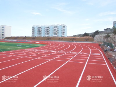 塑膠跑道多少錢一平,塑膠跑道造價