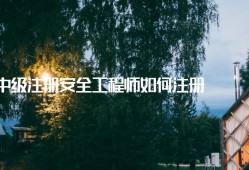 注冊(cè)安全工程師手冊(cè),注冊(cè)安全工程師手冊(cè)pdf