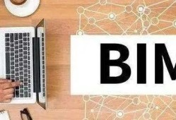 bim開發工程師是做什么的工作,bim開發工程師是做什么的