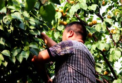 老莊論壇,老莊教育官網