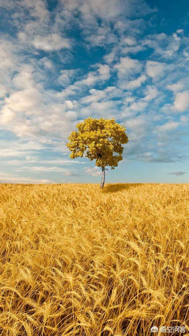 如何才能快速有效地考到一級建造師證書? 第1張 如何才能快速有效地考到一級建造師證書? 第1張