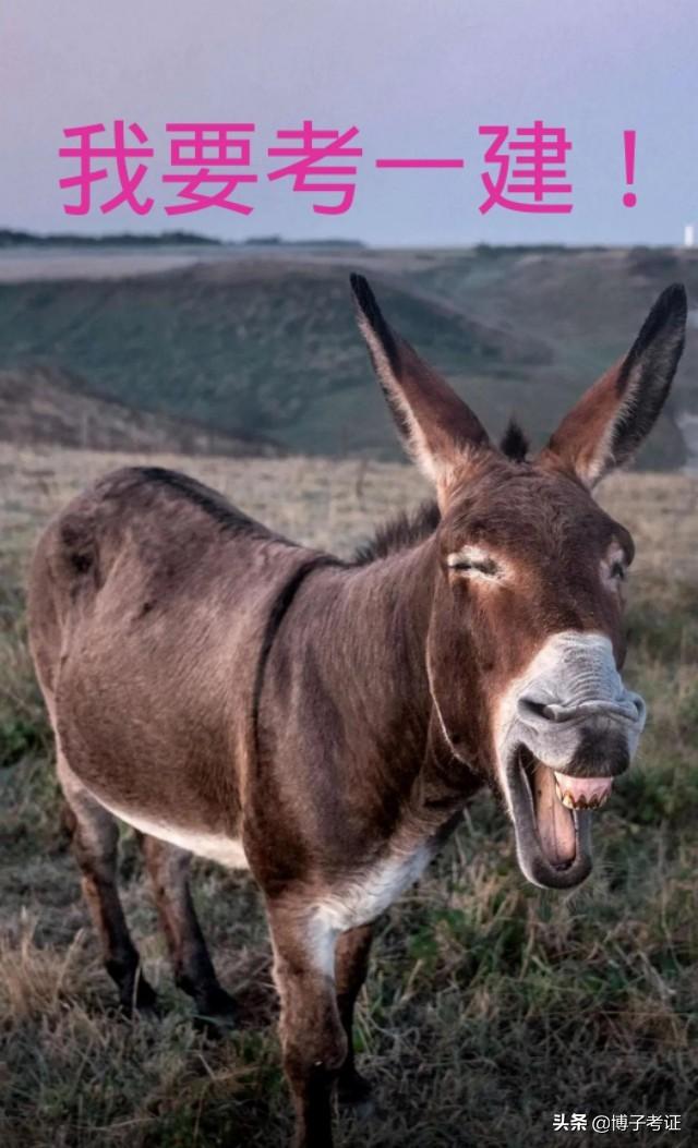 2020年一級建造師通過率探討？  第3張