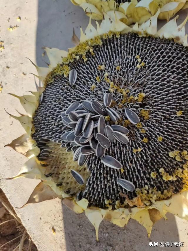 各路英雄,2020年一級建造師考試考過之后,你覺得感受如何? 第6張 各路英雄,2020年一級建造師考試考過之后,你覺得感受如何? 第6張