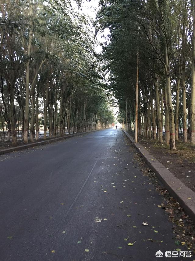 想考安全工程師，應該怎么操作？有哪些建議？  第3張