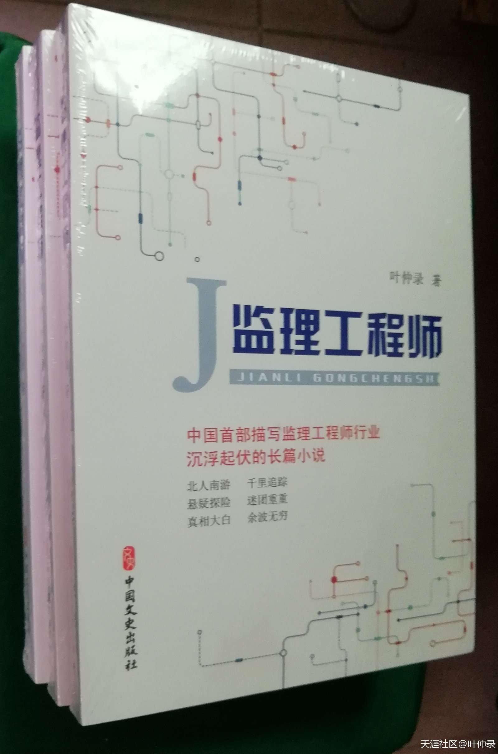 長篇紀實小說《監理工程師》里的國企和民企里的職員收益差異  第2張