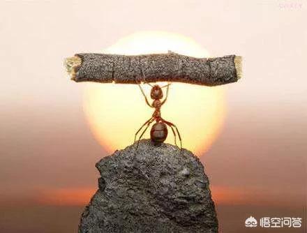 零基礎如何通過二建? 第2張 零基礎如何通過二建? 第2張