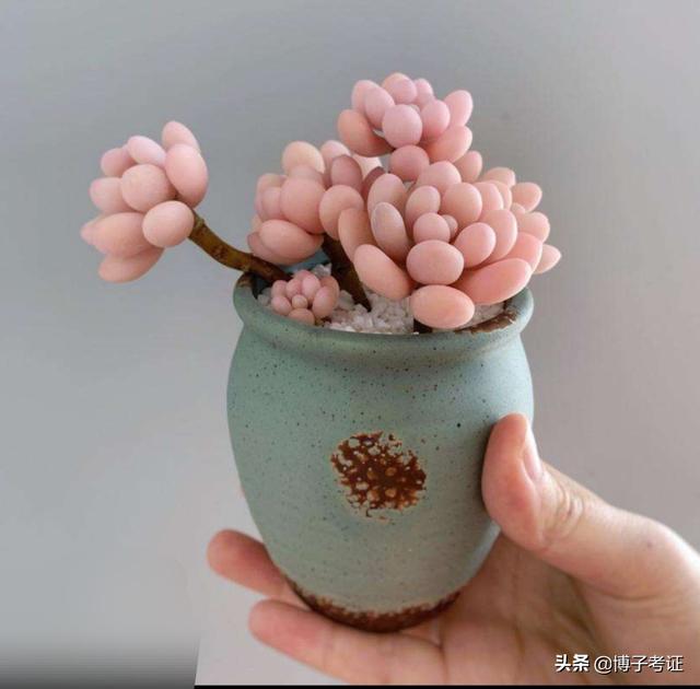 二建出考試時間了，大家開始學習了嗎？  第5張