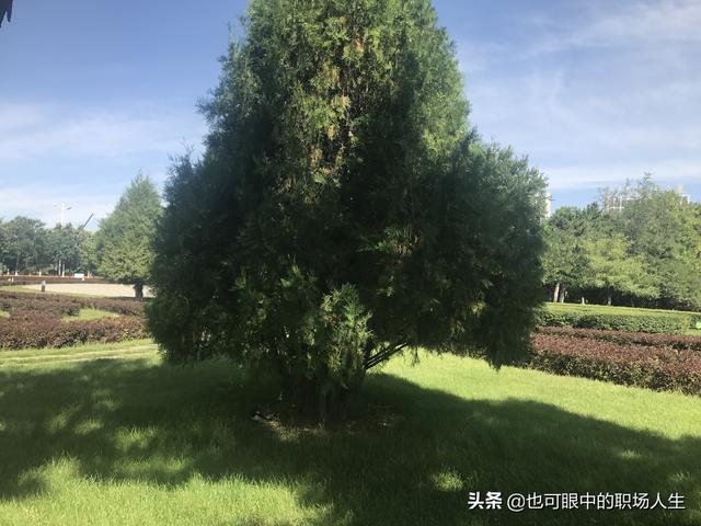 29歲通過了一級建造師一級造價師，我該選擇預算員還是施工員？  第2張