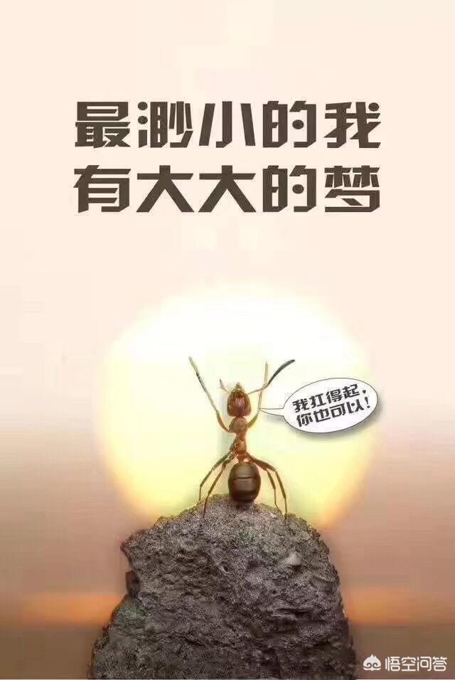 二級(jí)建造師就業(yè)前景如何?該報(bào)考嗎? 第1張 二級(jí)建造師就業(yè)前景如何?該報(bào)考嗎? 第1張