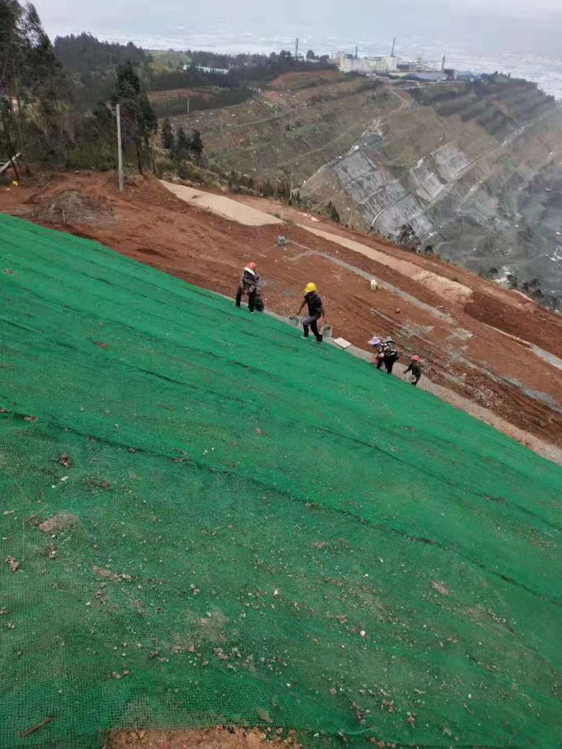 三維植被網(wǎng)護(hù)坡三維植被網(wǎng)護(hù)坡價(jià)格  第1張