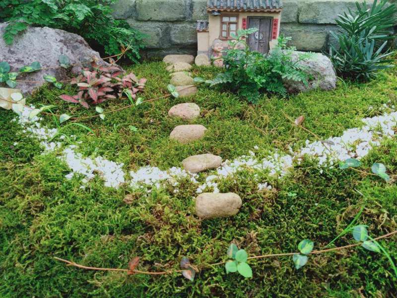 園藝景觀,園藝景觀設(shè)計圖  第1張