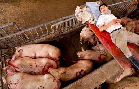 豬圈設計圖豬圈設計圖片大全 農村 家用 第1張 豬圈設計圖豬圈設計圖片大全 農村 家用 第1張