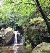 蝴蝶谷成人論壇,蝴蝶谷投資管理有限公司 第1張 蝴蝶谷成人論壇,蝴蝶谷投資管理有限公司 第1張