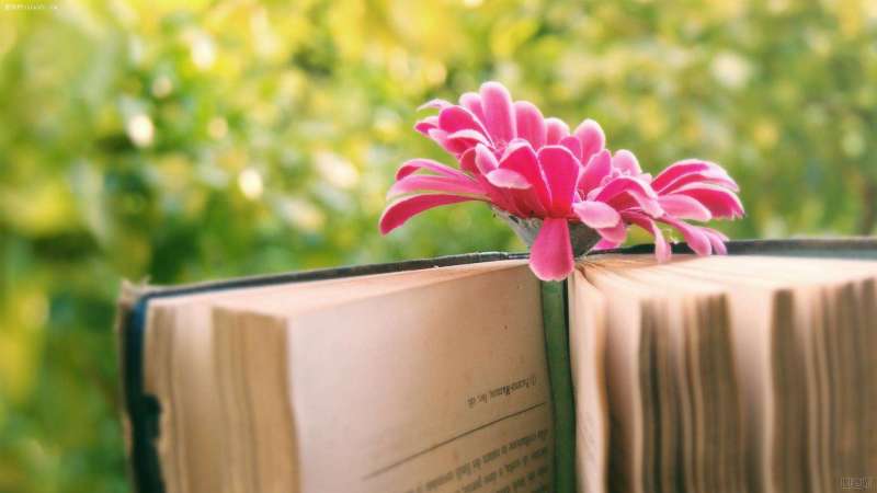 京華網校注冊安全工程師怎么樣,京華網校注冊安全工程師 第2張 京華網校注冊安全工程師怎么樣,京華網校注冊安全工程師 第2張