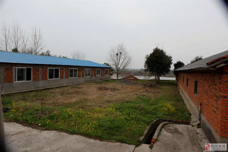 養豬場設計圖片大全養豬場設計圖 第1張 養豬場設計圖片大全養豬場設計圖 第1張