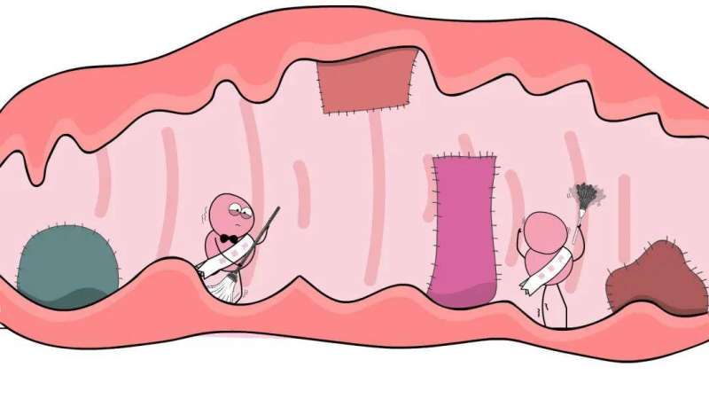 引道工程是什么意思引道結構圖 第2張 引道工程是什么意思引道結構圖 第2張