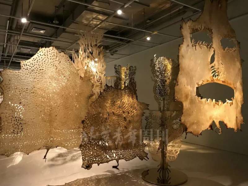 樹林骨架,樹林骨架官網 第2張 樹林骨架,樹林骨架官網 第2張