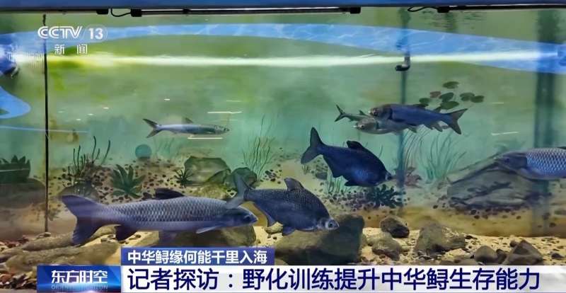 注冊巖土工程師初始注冊需要多久,注冊巖土工程師證初始注冊時(shí)間  第2張