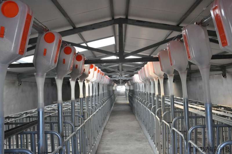 豬圈設(shè)計(jì)圖農(nóng)村私人豬圈設(shè)計(jì)圖  第1張