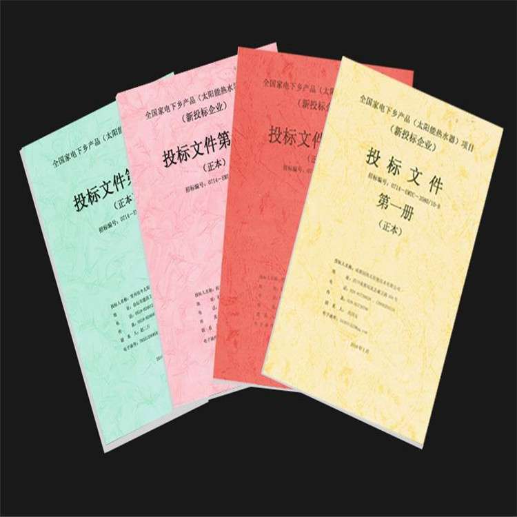 競標(biāo)書競標(biāo)書格式要求 第2張 競標(biāo)書競標(biāo)書格式要求 第2張