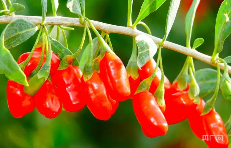 bim工程師可以掛證嗎,bim工程師證書可以掛么青海 第1張 bim工程師可以掛證嗎,bim工程師證書可以掛么青海 第1張