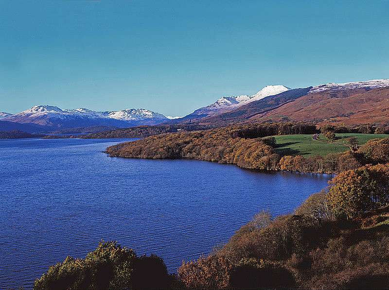 包含西塞爾巴爾蒙德結構工程師的詞條  第1張